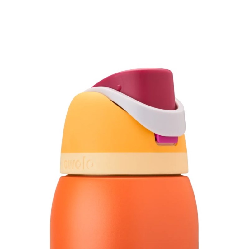 Owala 32oz FreeSip® Stainless Steel Wasserflasche Orange | NNG2761DM