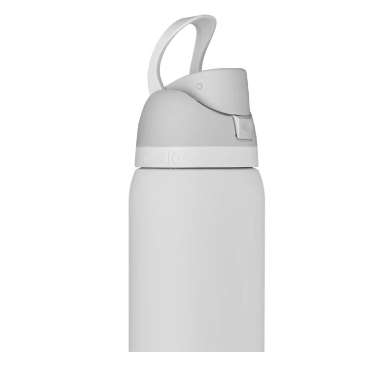 Owala 32oz FreeSip® Stainless Steel Wasserflasche Grau | YEA166CQ